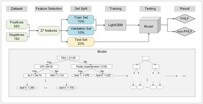 Machine learning prediction model for post- hepatectomy liver failure in hepatocellular carcinoma: A multicenter study